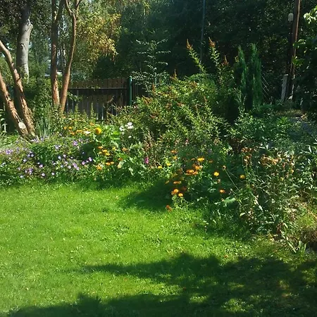 U Andrzeja, Parking W Cenie!! Homestay
