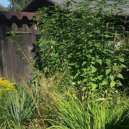 U Andrzeja, Parking W Cenie!! Homestay szállás *