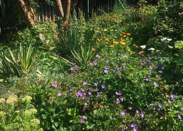 U Andrzeja, Parking W Cenie!! Homestay Karpacz