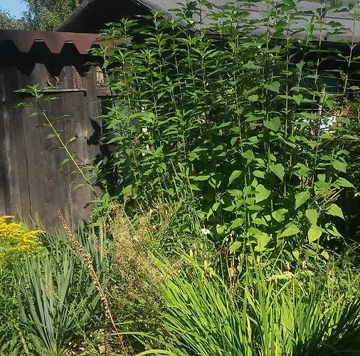 U Andrzeja, Parking W Cenie!! בית אירוח *